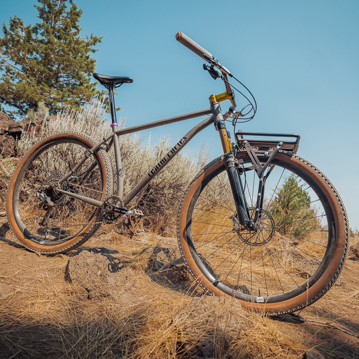 Old Man Mountain New Pizza Rack full bike