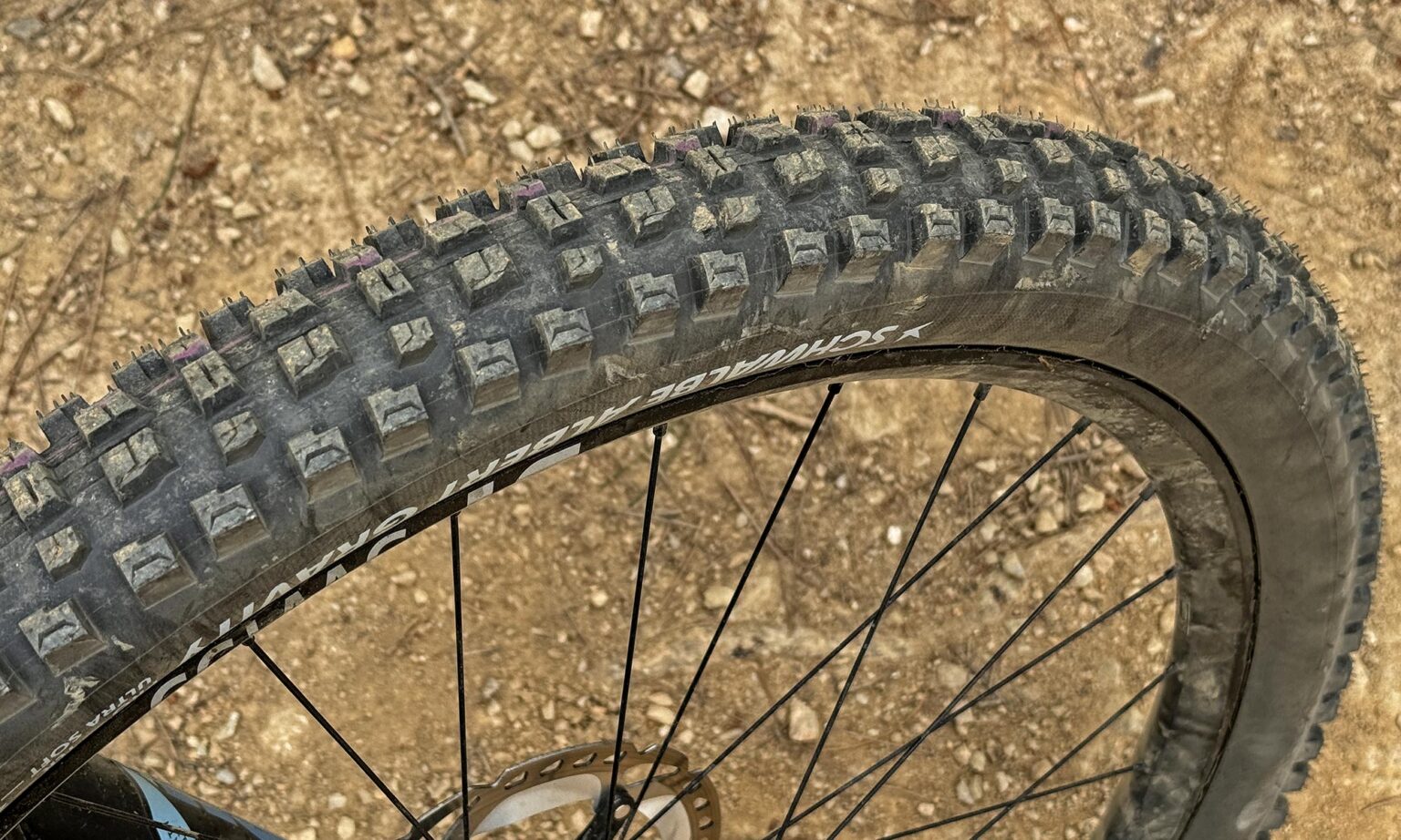 Review: Schwalbe Albert Gravity & Trail Radial MTB Tires Simply Grip ...