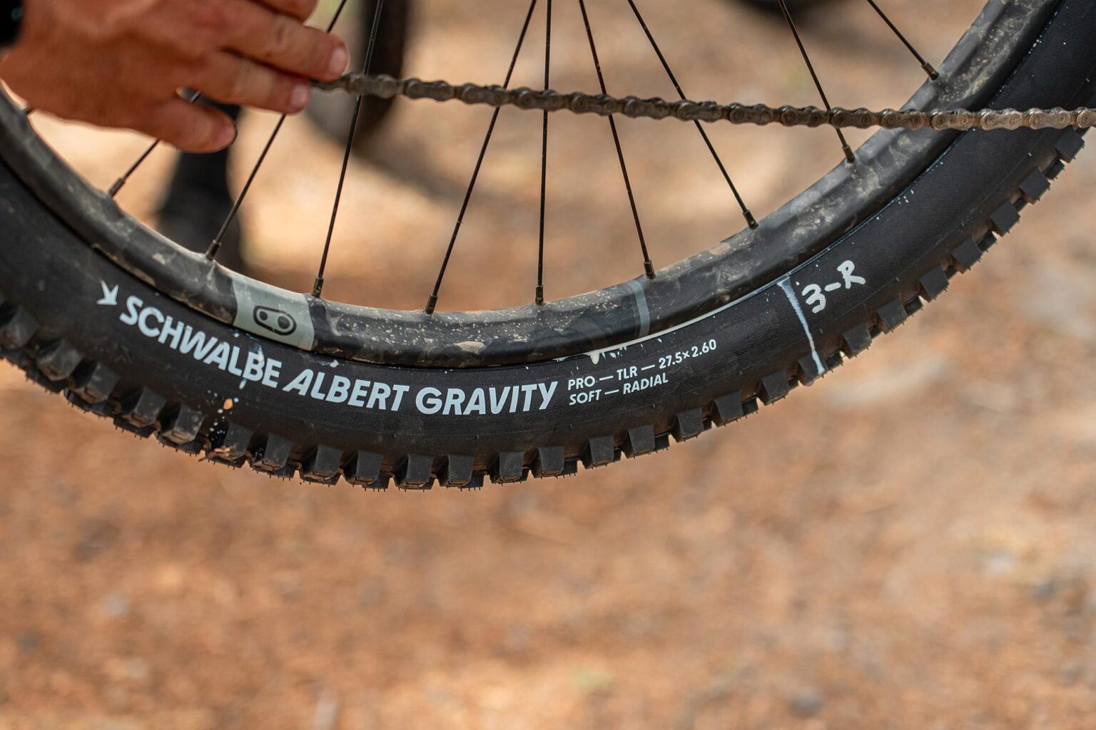 Schwalbe Radial Trail Gravity mountain bike tires, Albert up-close