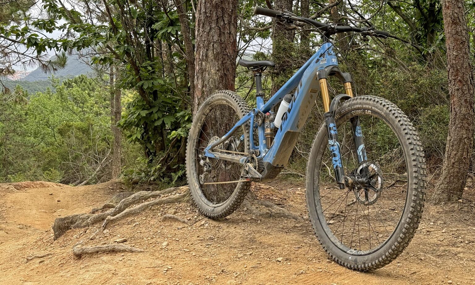 Schwalbe Radial Trail Gravity mountain bike tires, Albert Gravity on an eMTB