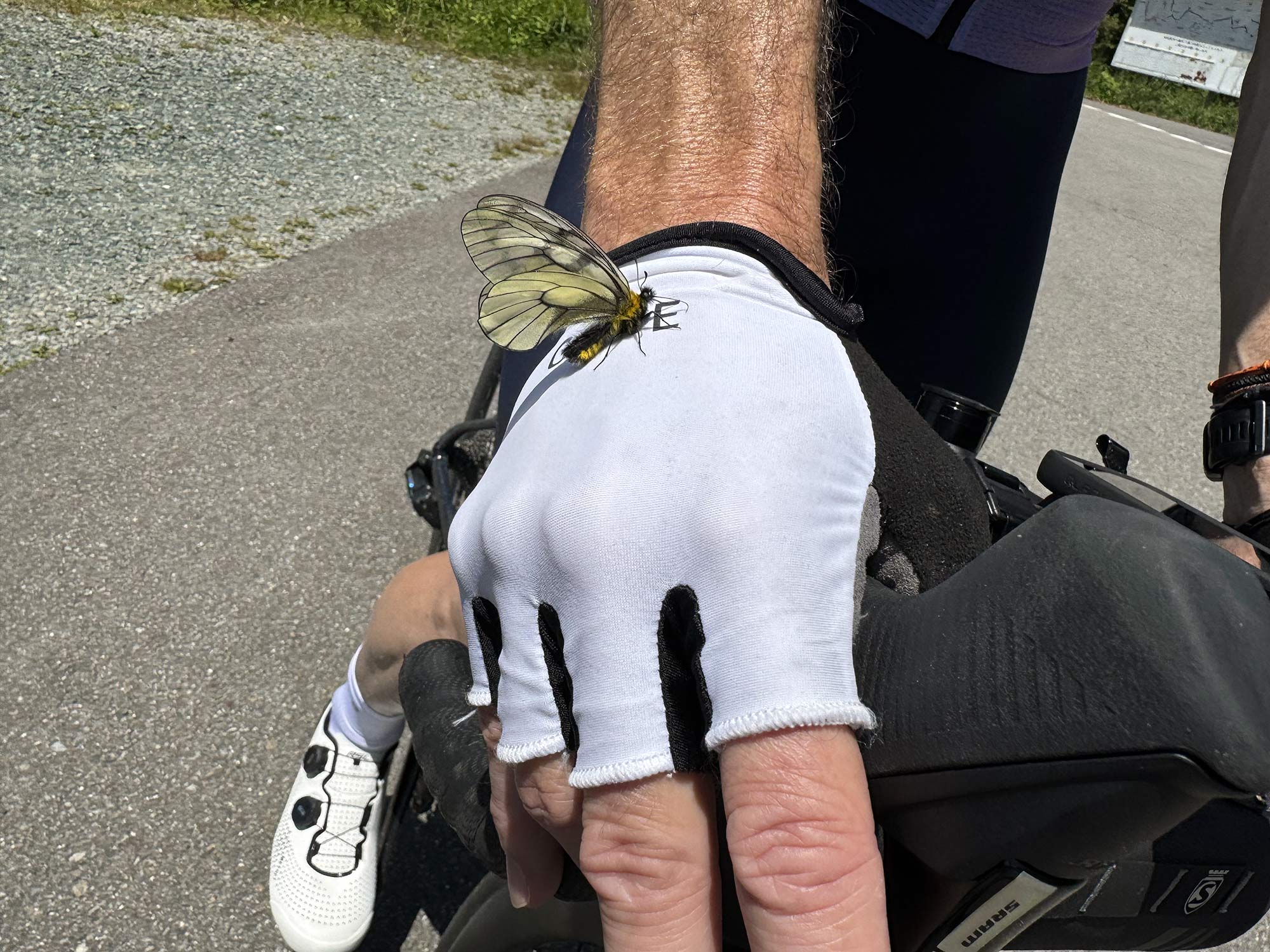 closeup of cyclist wearing gore cycling gloves.