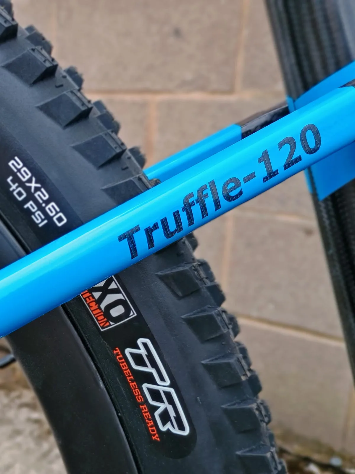 2024 Carbon Wasp Truffle UK-made carbon XC mountain bike, blue with 2.6" tires