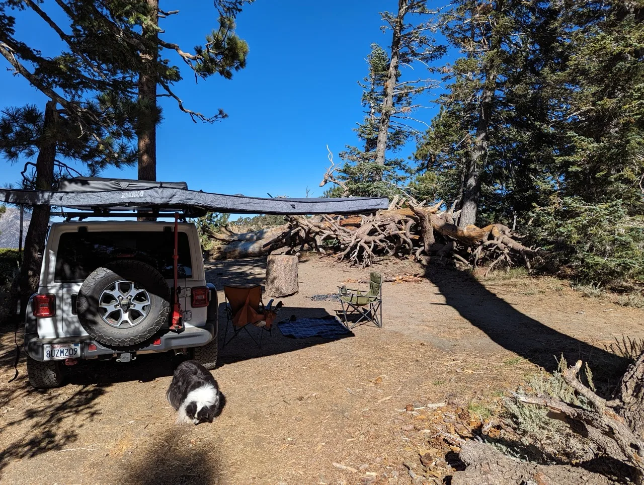 Yakima MajorShady Awning review lunch San Gabes