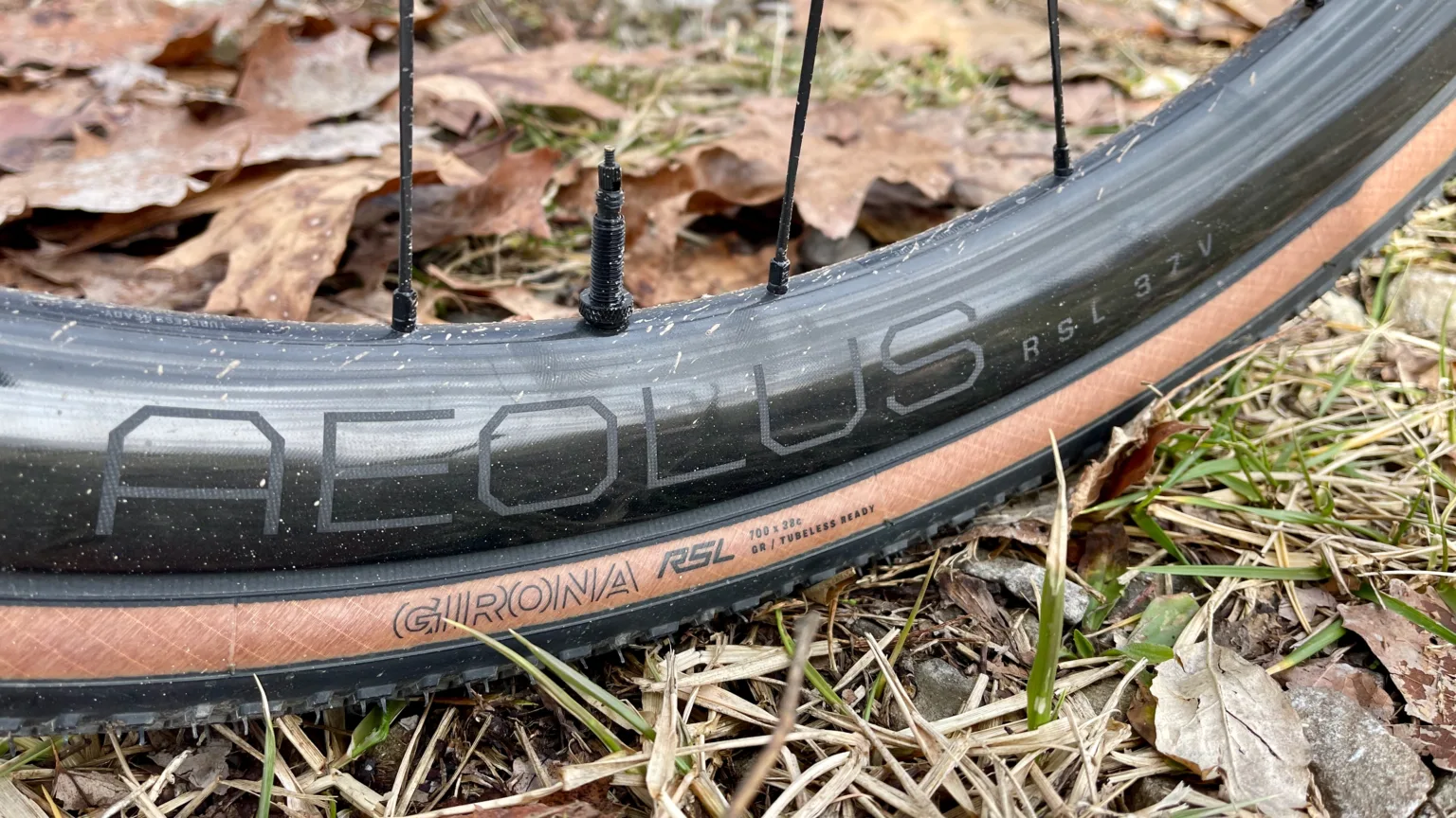 Review- Trek Checkmate SLR 9 tire logo