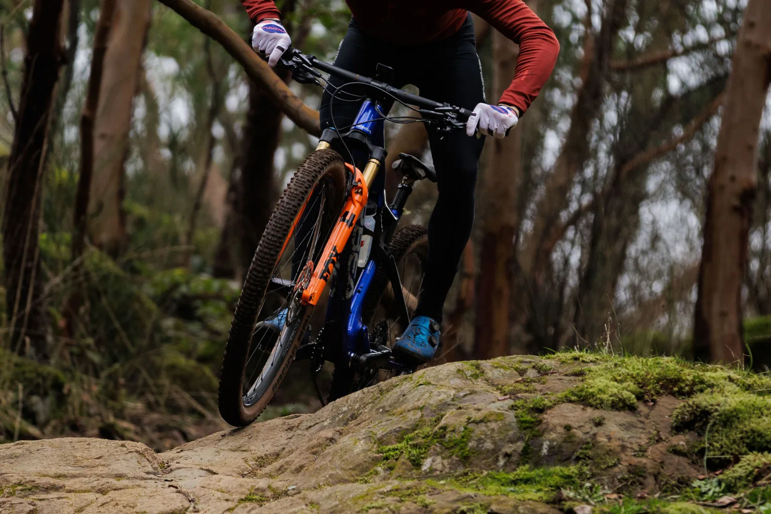 fox 34 sl fork being ridden on trails