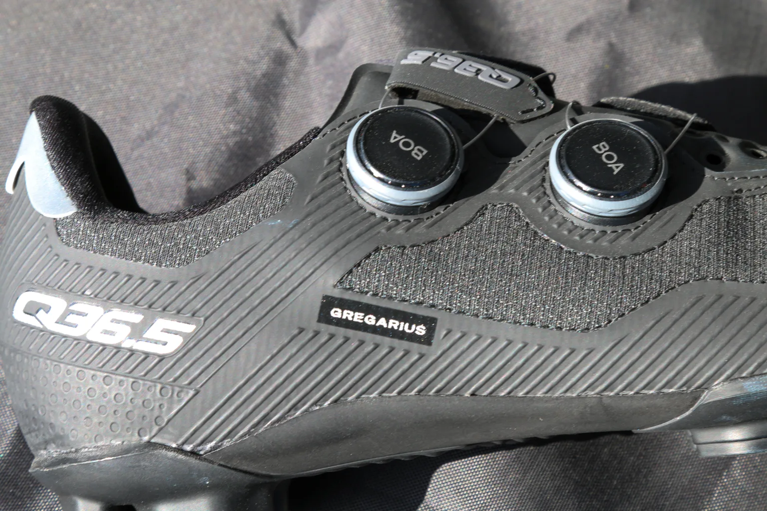 Q36.5 shoes gregarious