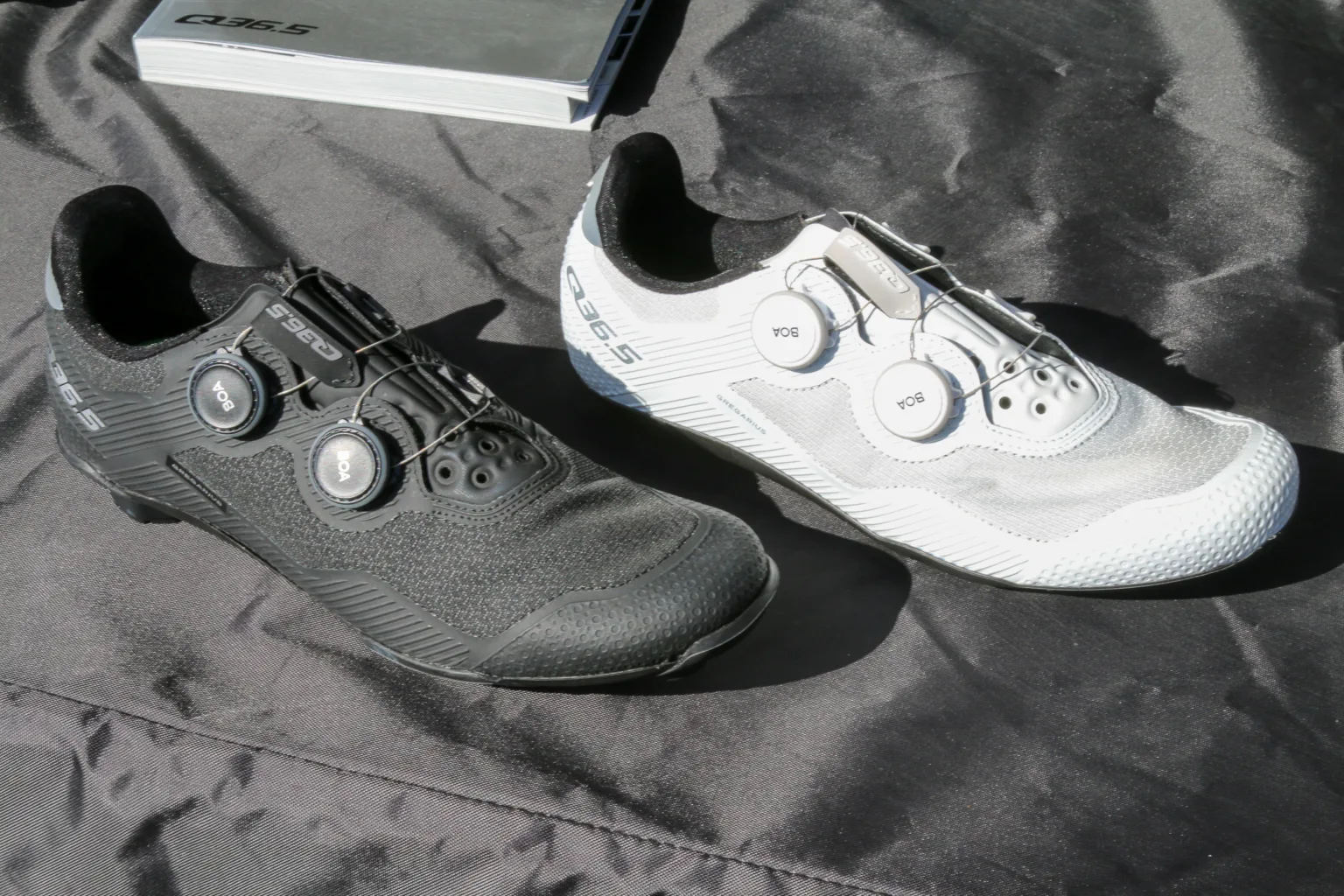 Q36.5 shoes gregarious