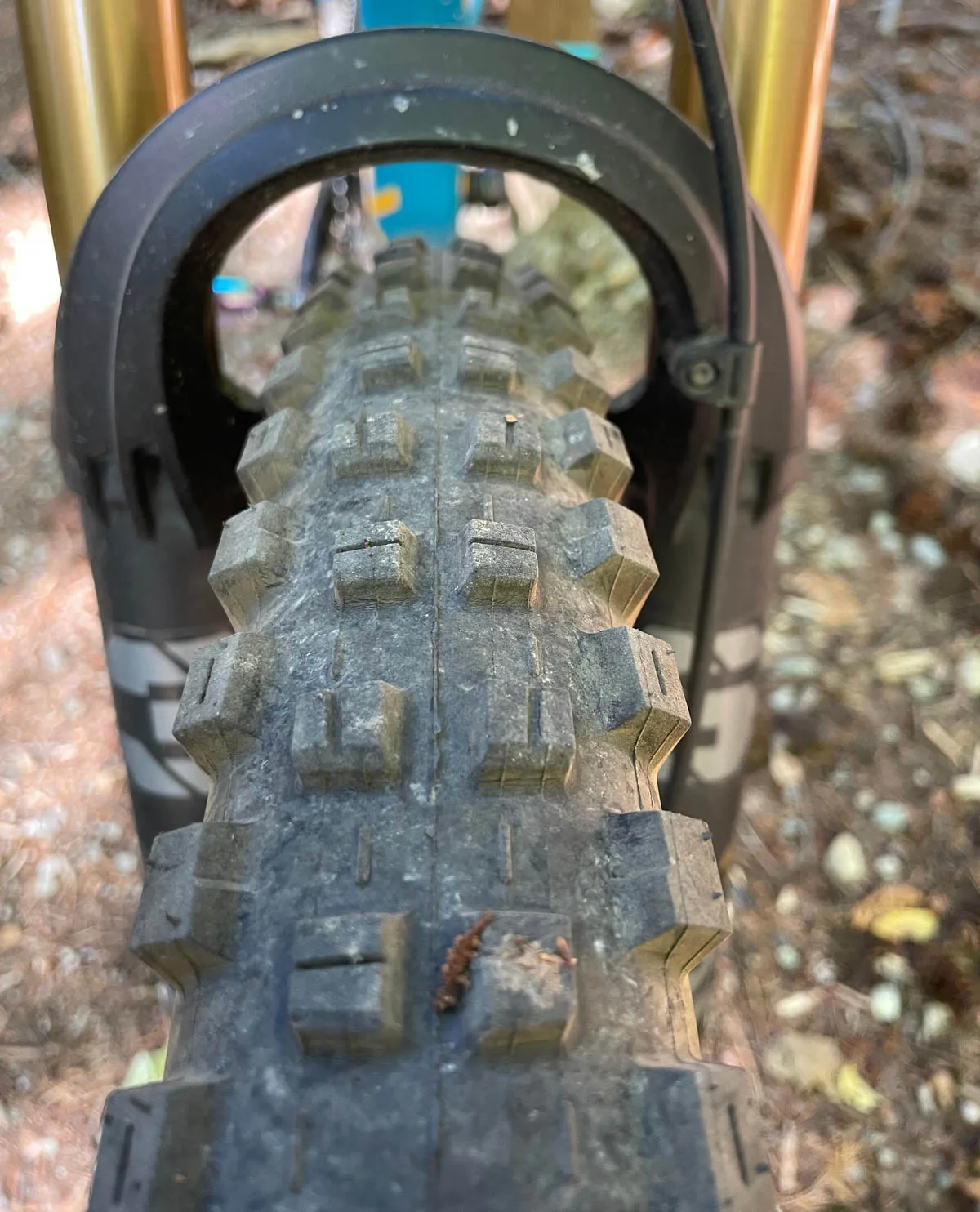 Maxxis High Roller 3, front profile