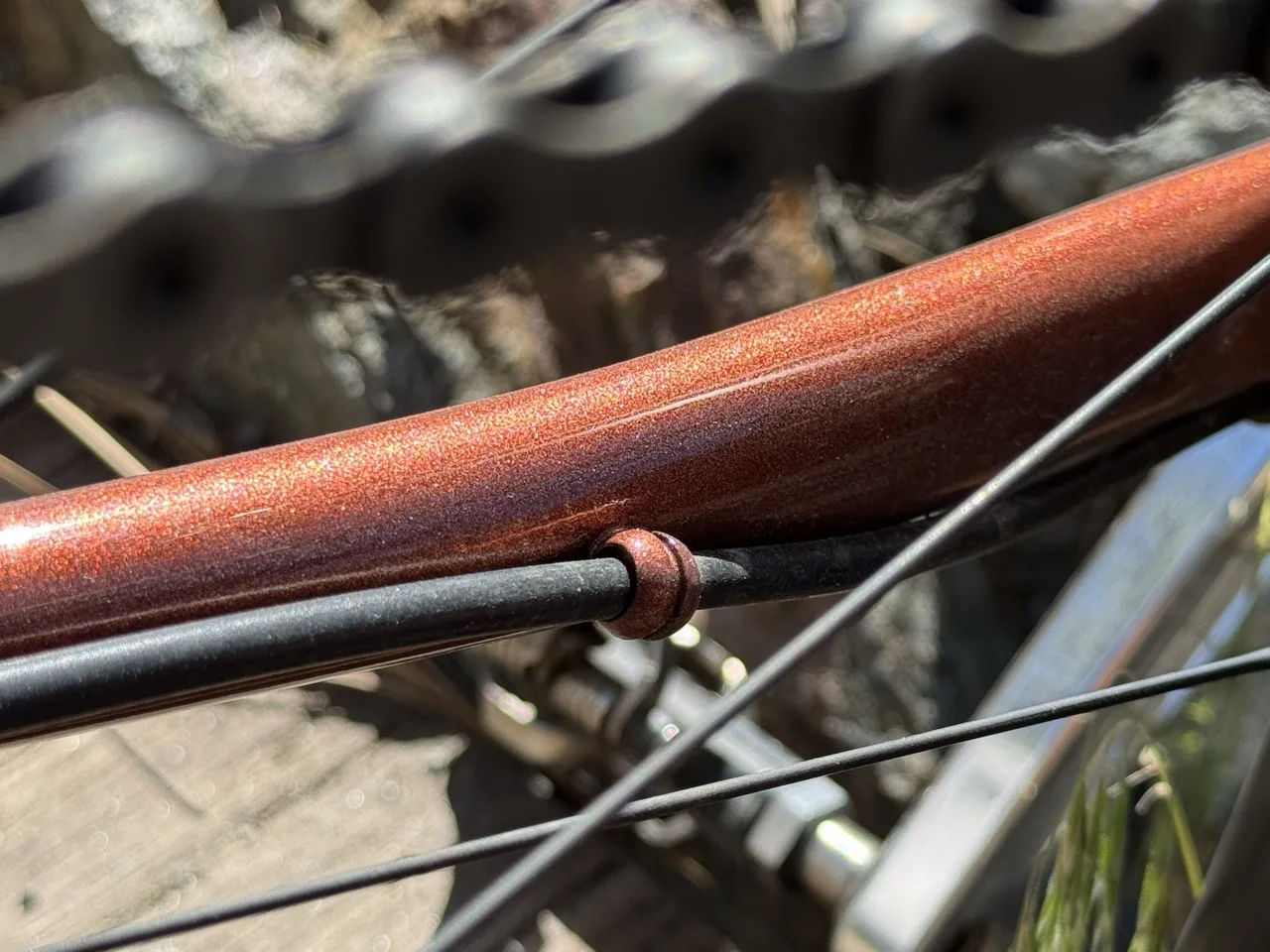 Review Wilde Rambler SL Gravel Bike Paul post rear brake hose