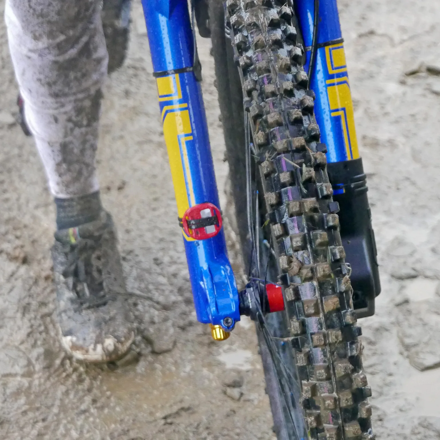 prototype Schwalbe Dirty Dan Gravity Pro Radial mountain bike tires on Loic Bruni's Specialized