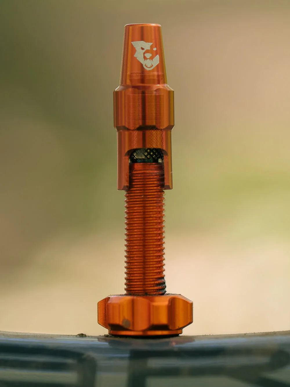 Wolf Tooth adopts Clik Valve for colorful alloy Tubeless Valves, first with colored alloy cap
