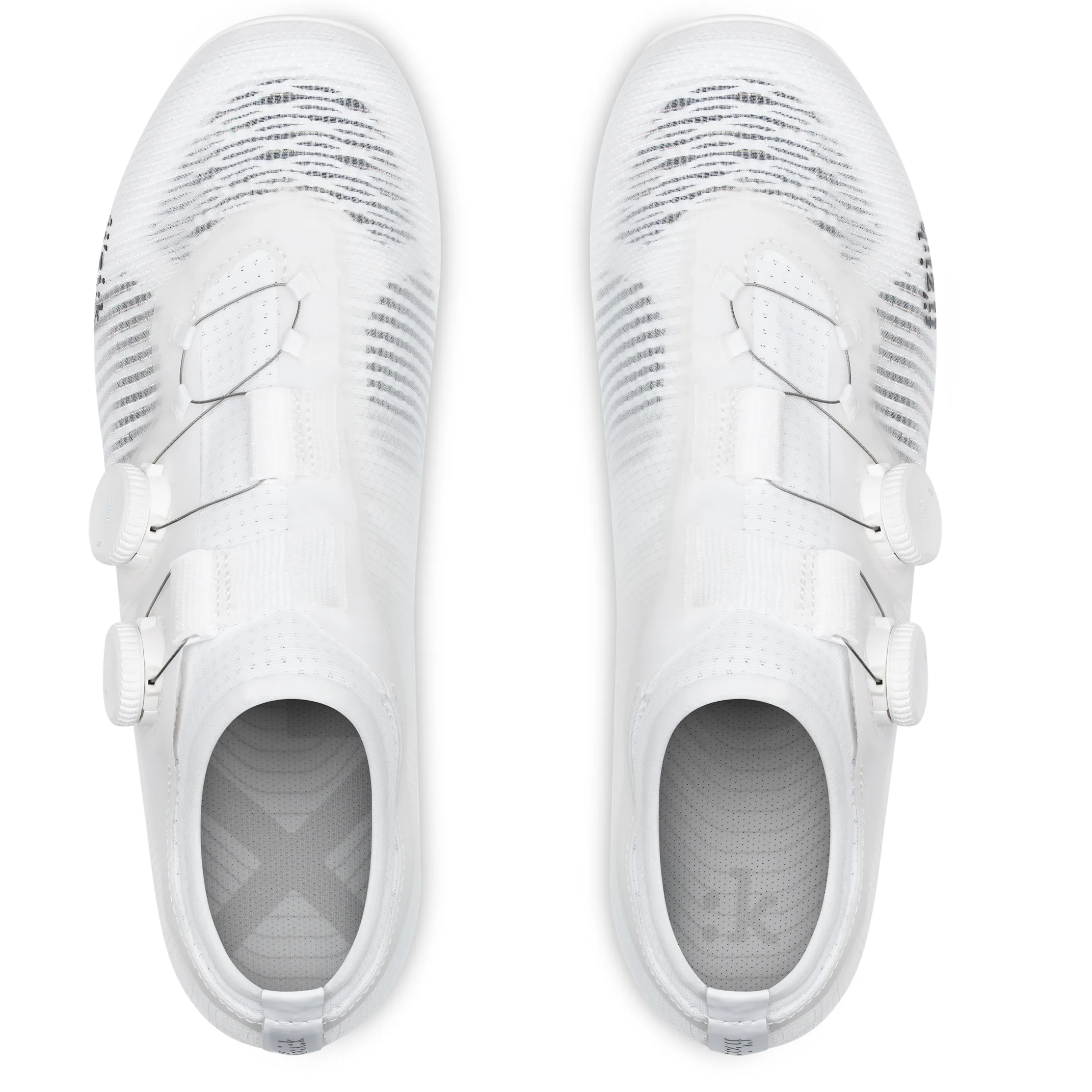 fizik_vega whit top