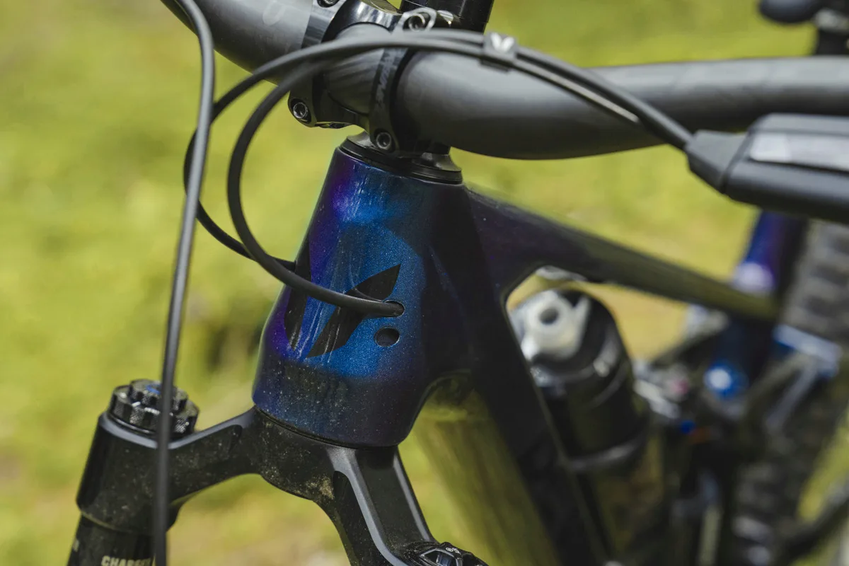 2025 Devinci Troy Carbon, cable routing