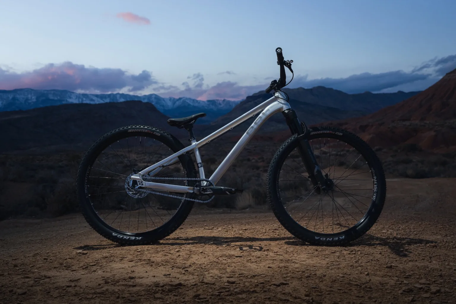 (photo/Ari Bikes)
