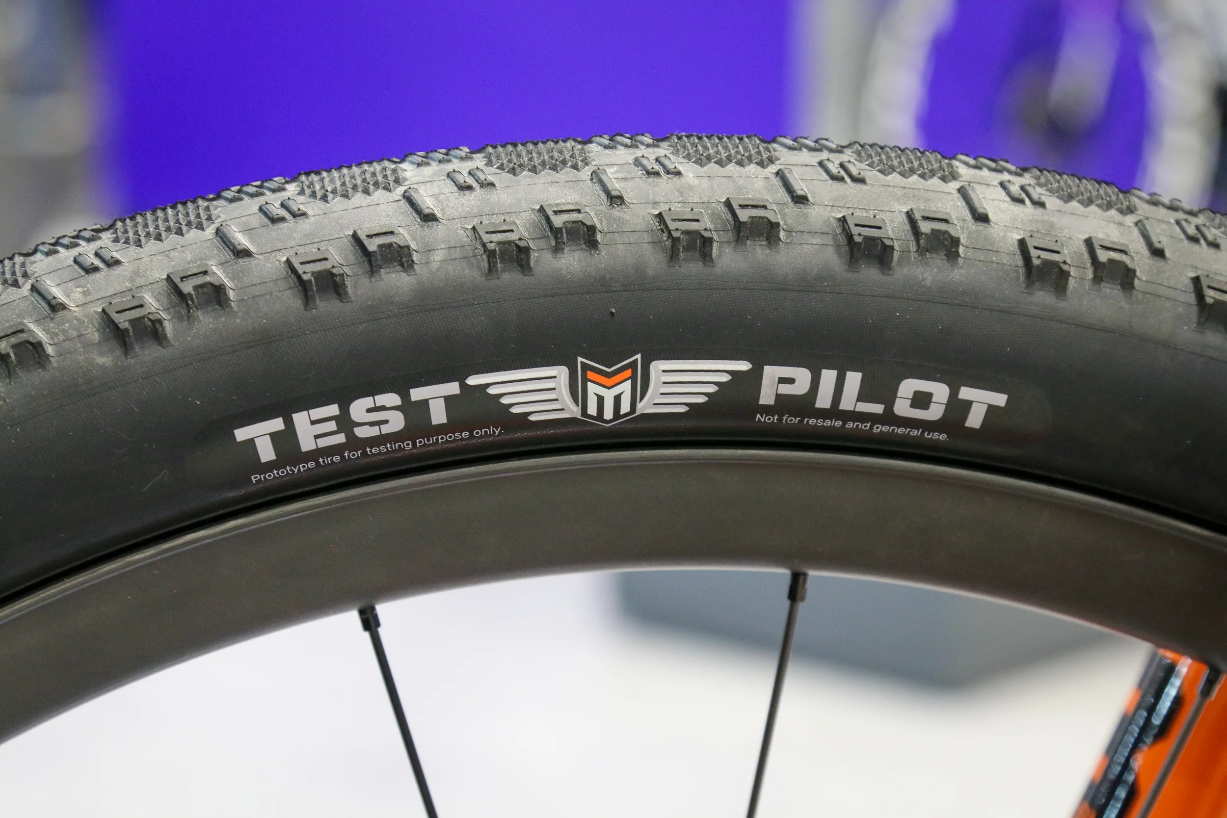 Test Pilot logo on the sidewall of the Giant Anthem prototype