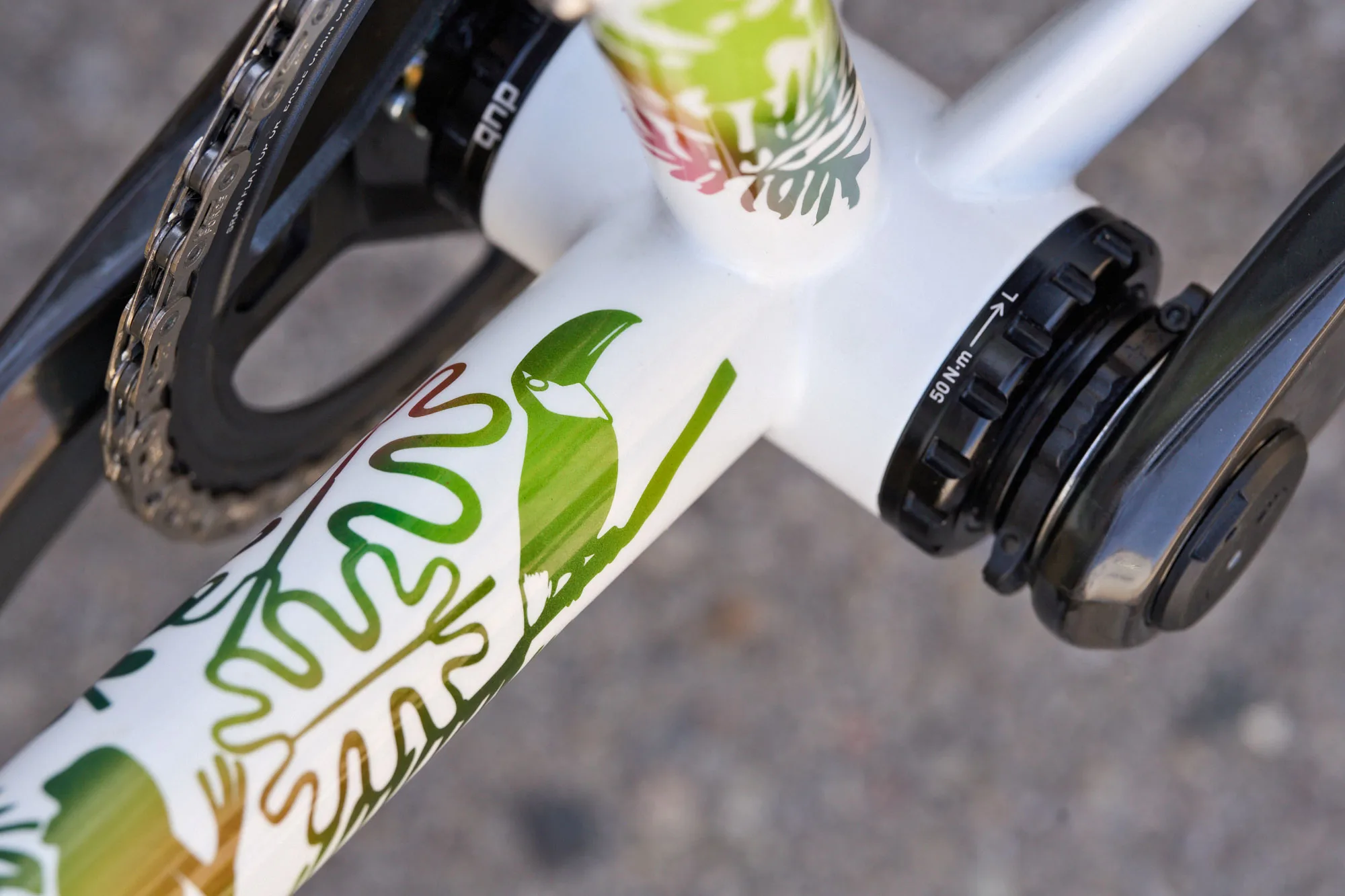 Scarab Páramo Integrated custom steel gravel bike, T47 BB