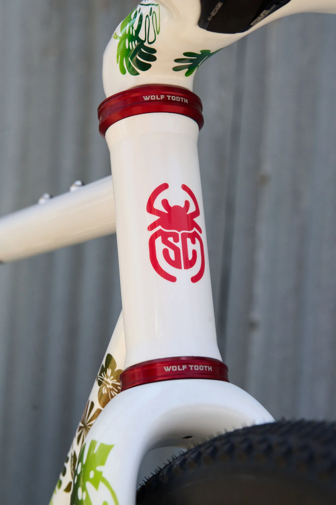 Scarab Páramo Integrated custom steel gravel bike, Wolf Tooth headset and no cables