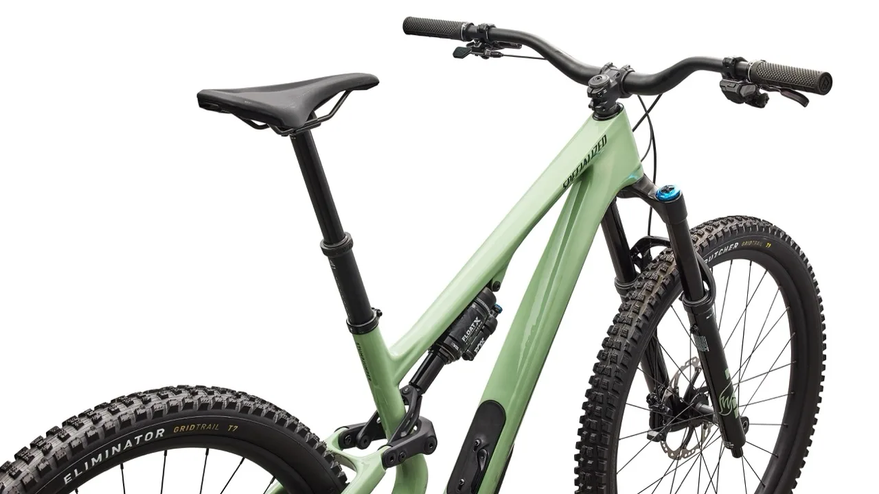 Specialized Stumpjumper 15 EVO expert back side