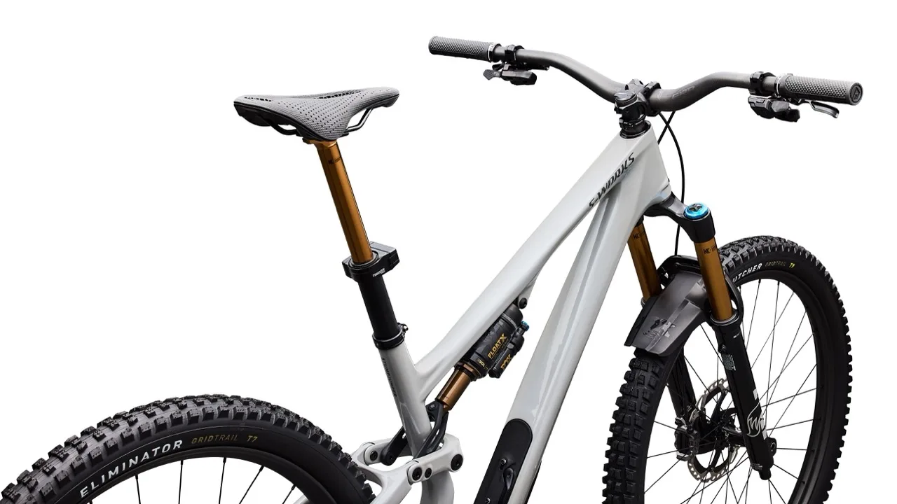 Specialized Stumpjumper 15 EVO sworks back side