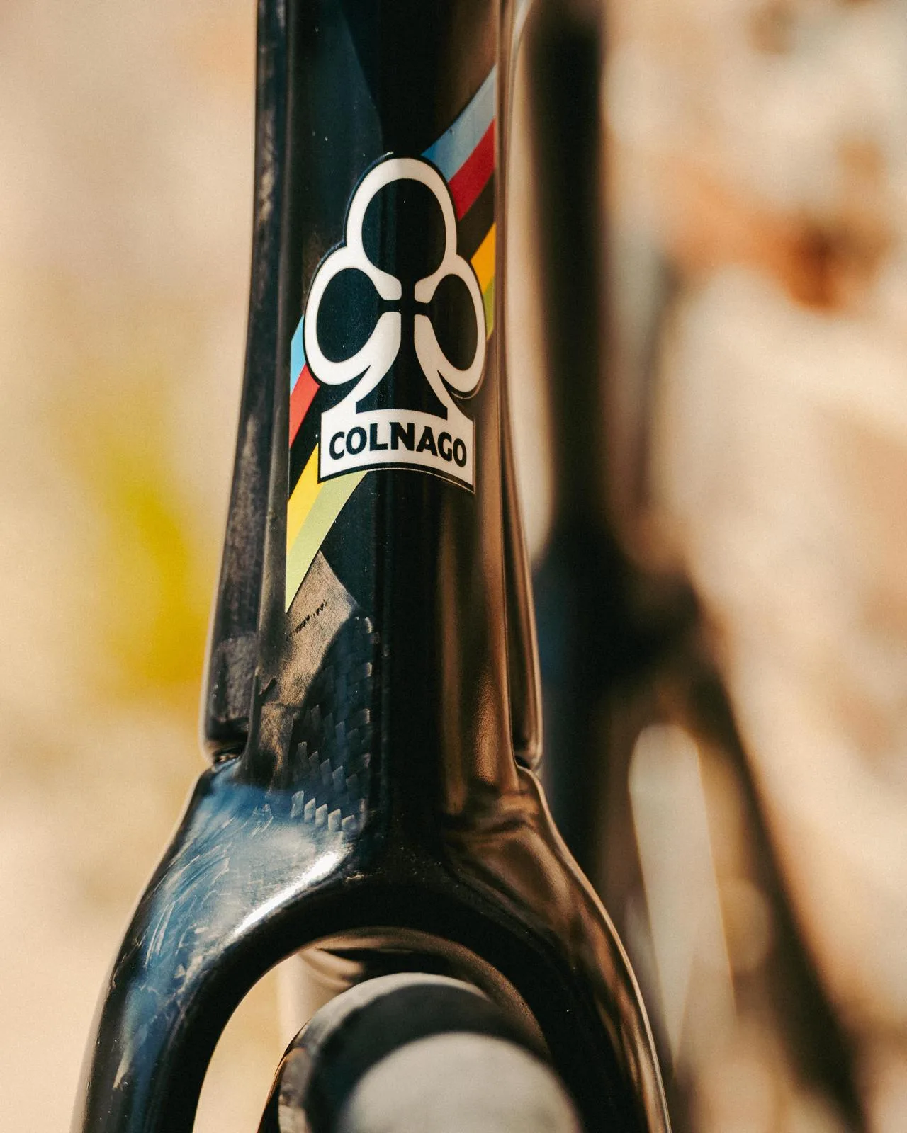 Bike Profile Tadej PogacÌar's Colnago Y1Rs