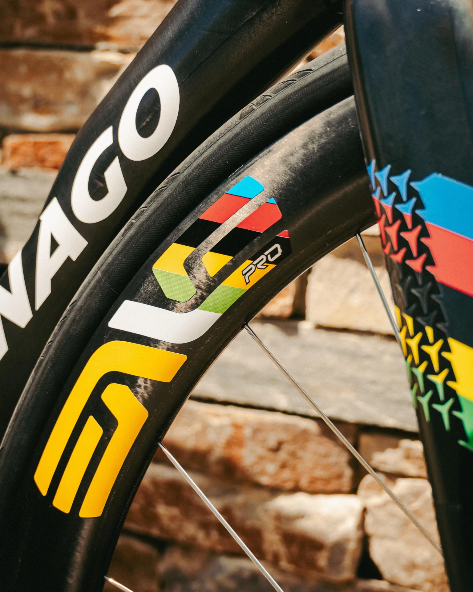 Bike Profile Tadej PogacÌar's Colnago Y1Rs ENVE
