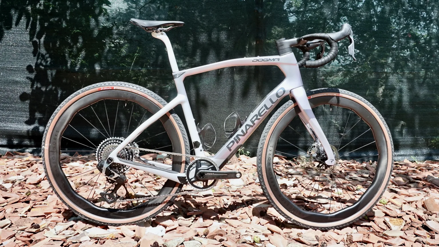 pinaerllo dogma GR full