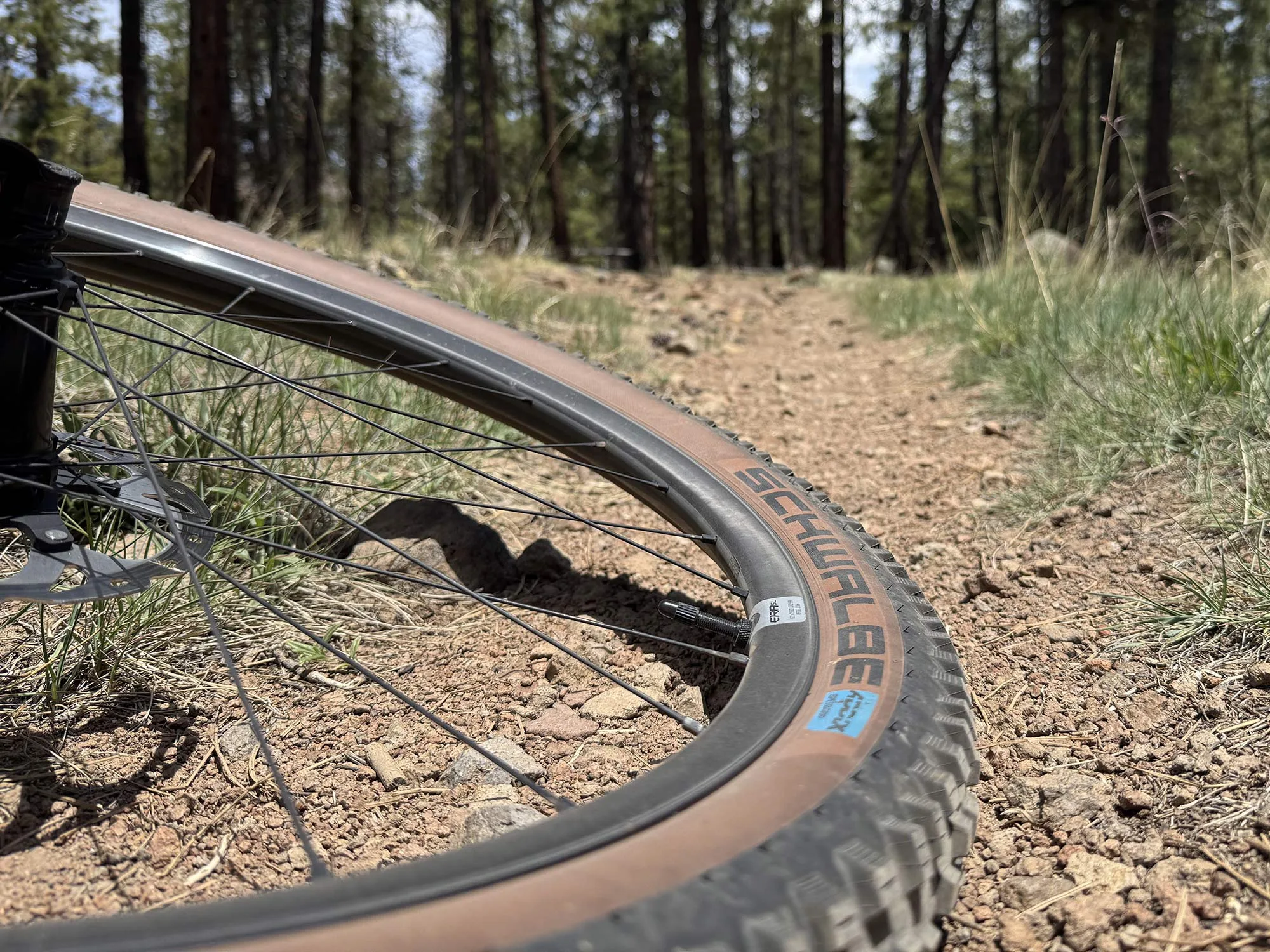 race face era sl MTB wheels shown on a bike.
