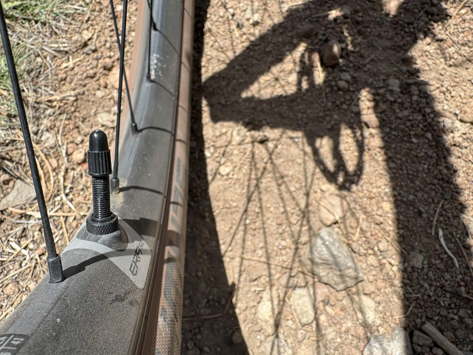 race face era sl MTB wheels shown on a bike.