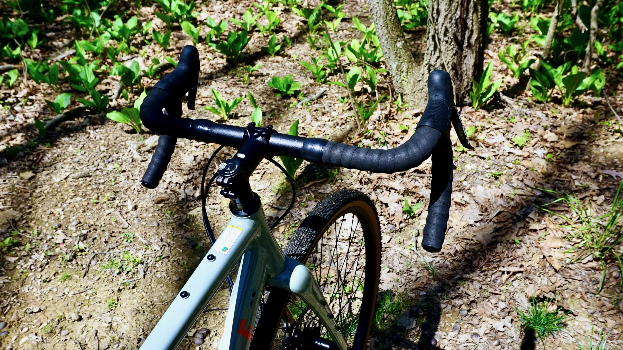 Pure Cycles Adventure AL Review top side bars