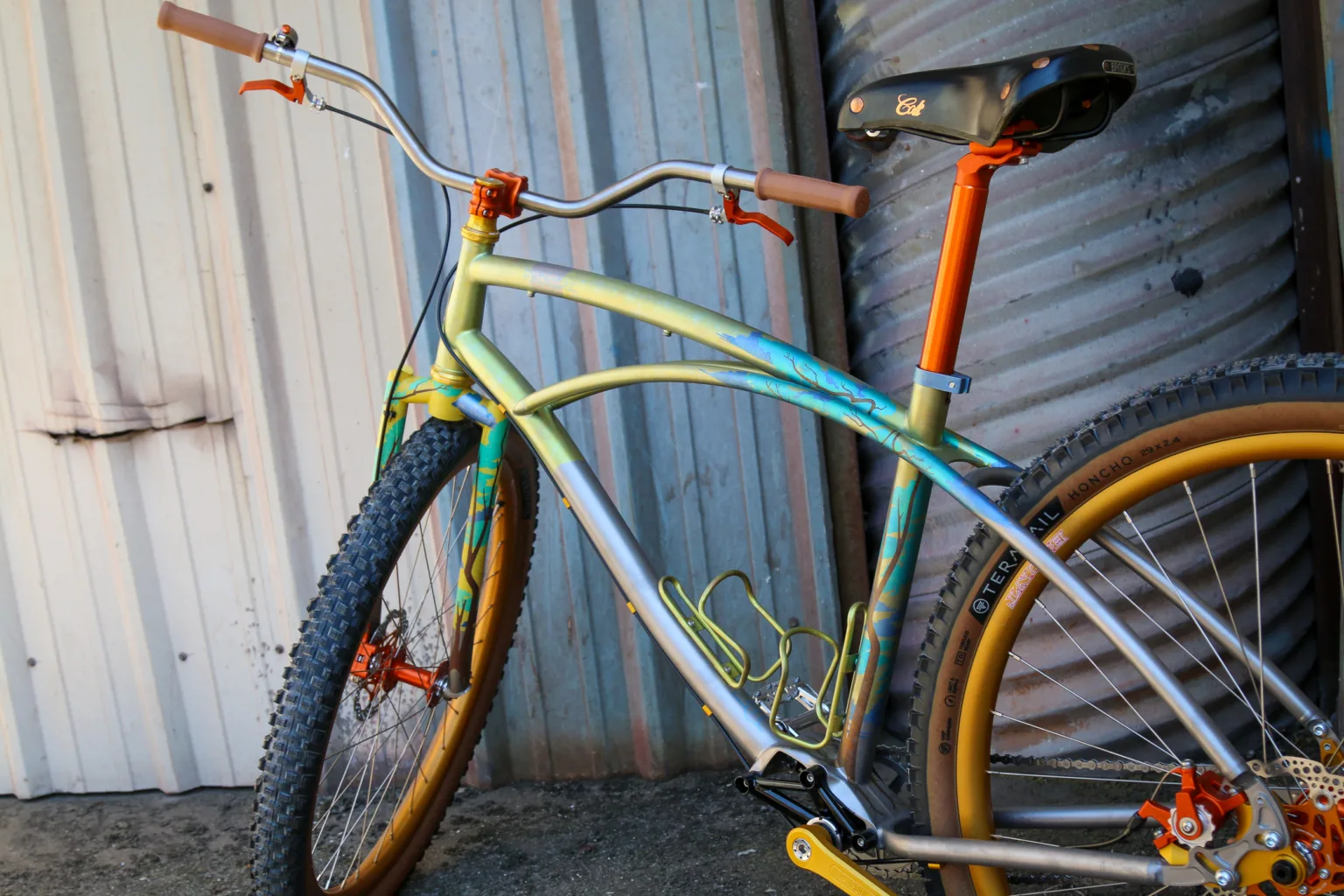 Retrotec titanium single speed Pinion bike with Agave Finishworks Japanese silkscreen finish rear