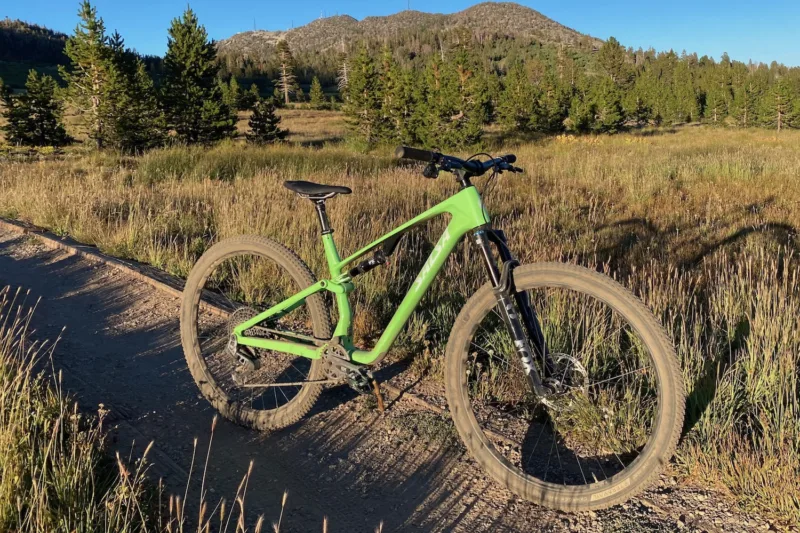 Salsa Spearfish Review: Zesty Green Salsa Blew My Expectations Out of the Water