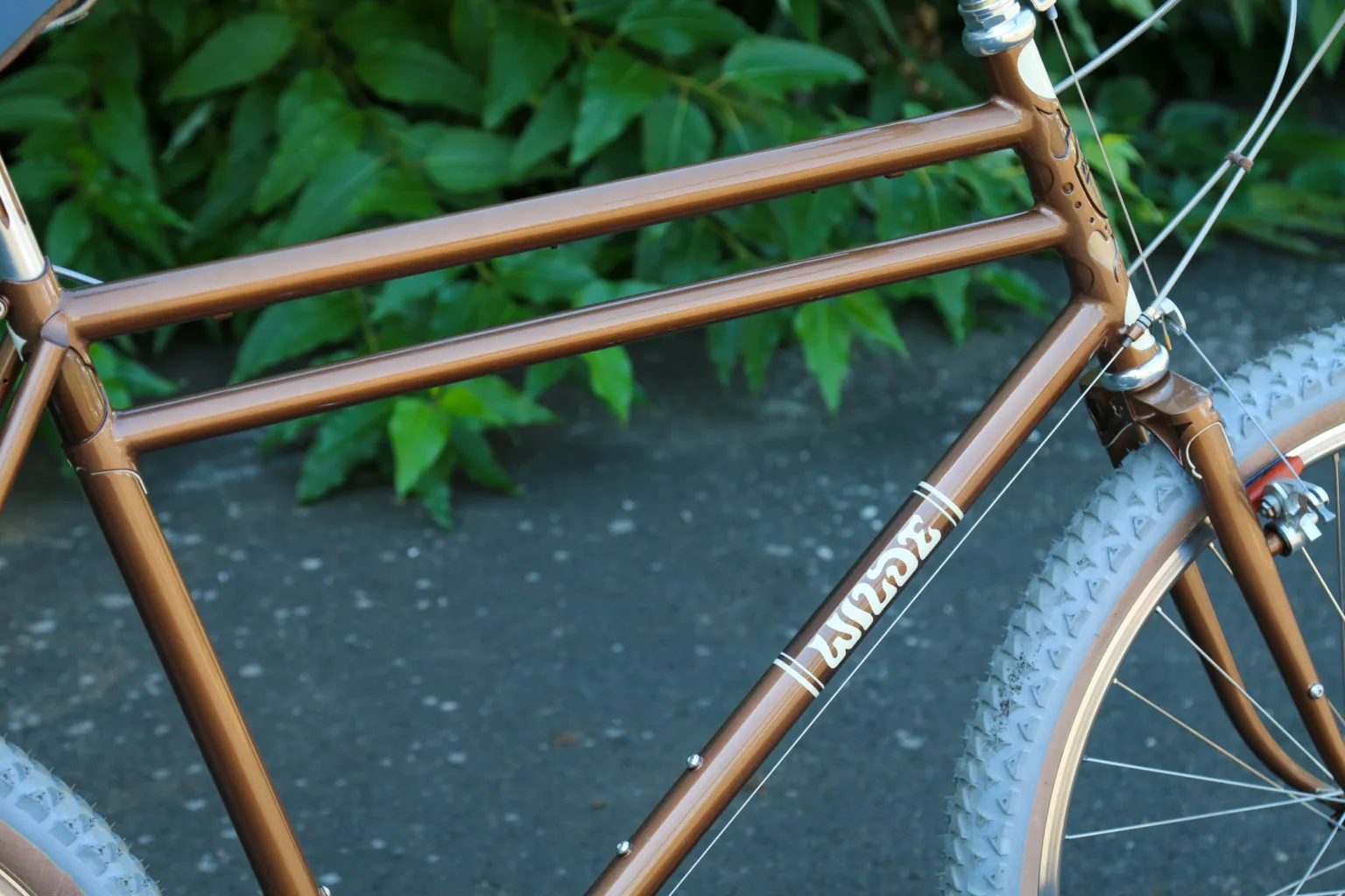 Wilde Bikes Dog Star top tube