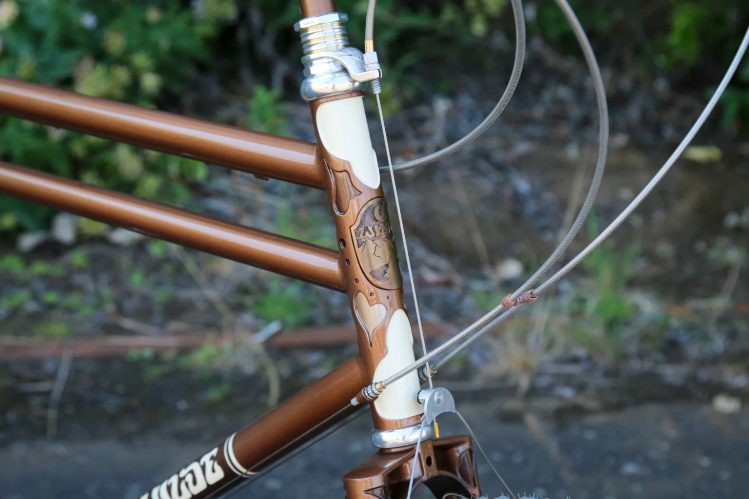 Wilde Bikes Dog Star head tube