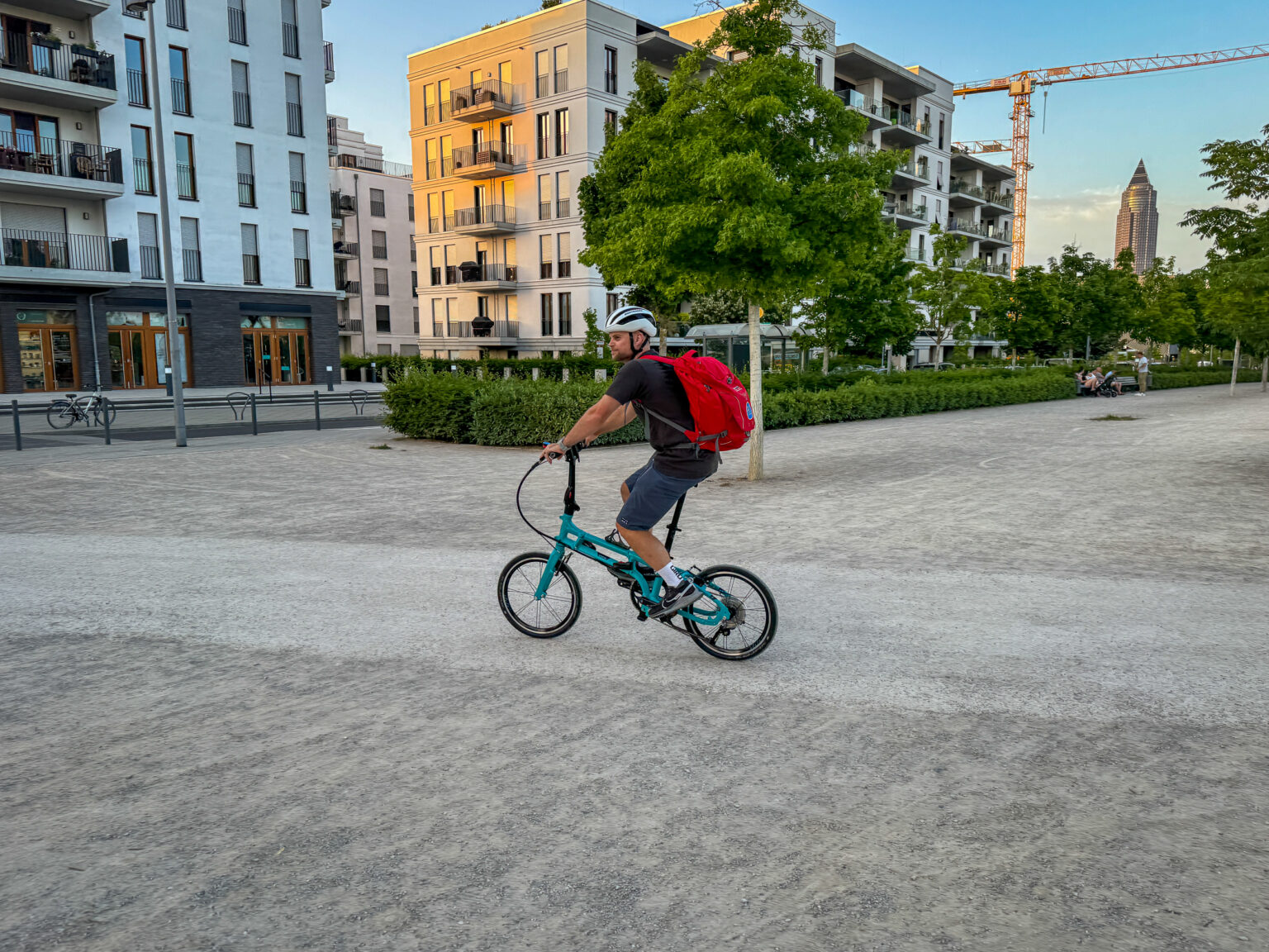 Riding Tern BYB P10