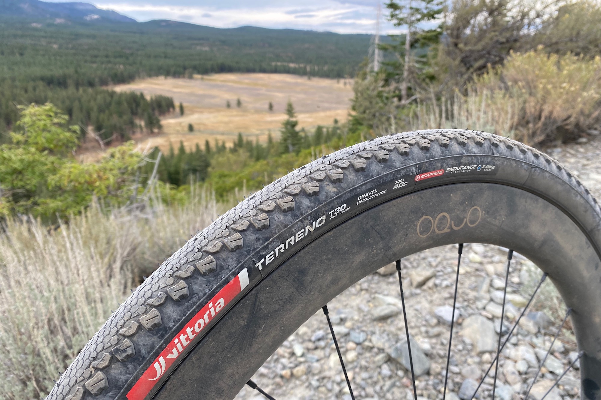 the OQUO aero carbon wheels and Vittoria tires on the Terra Race