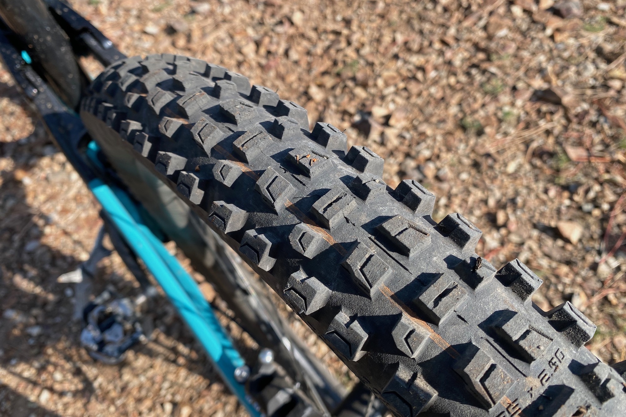 The Schwalbe Albert Gravity tire on the rear of the Yeti LTe