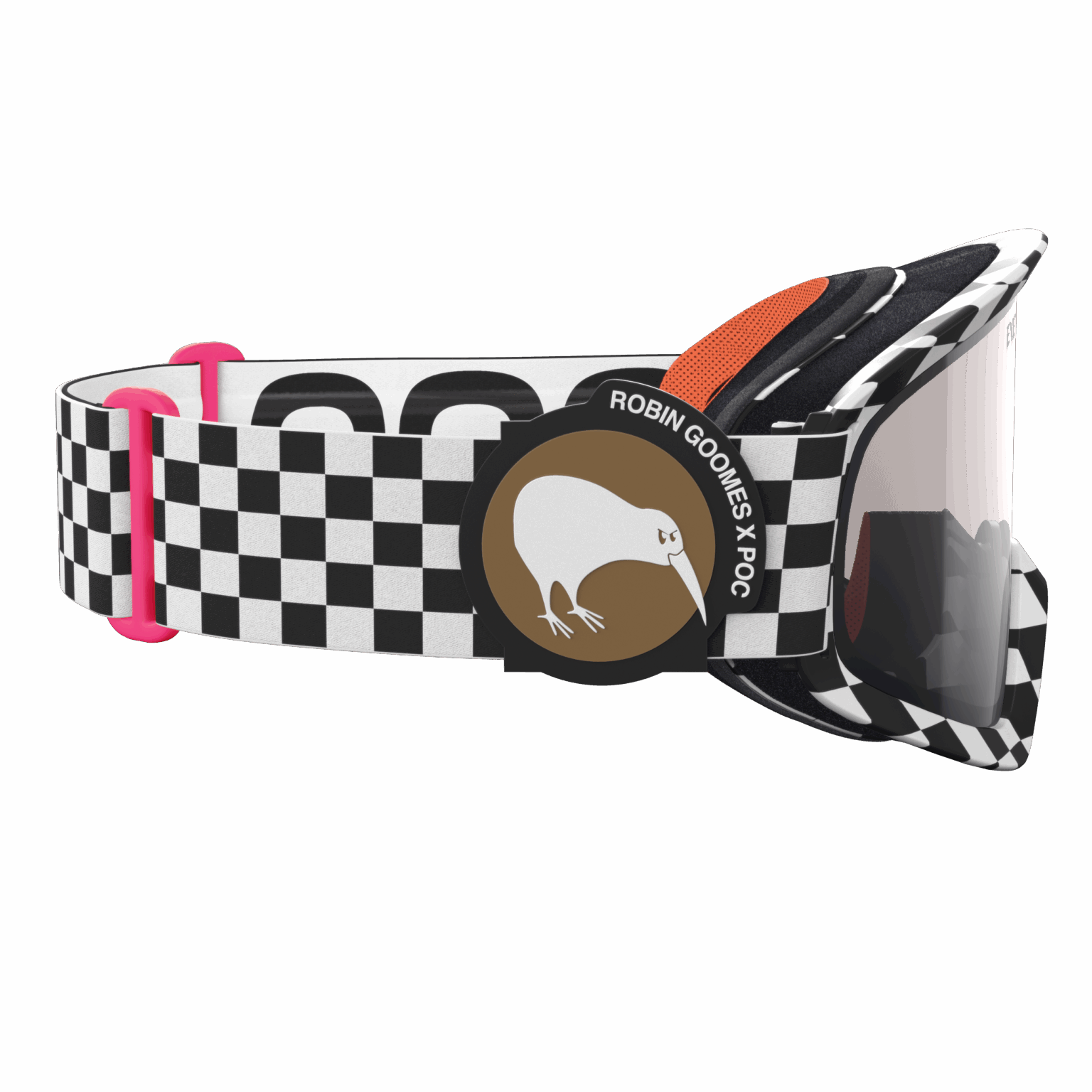 kiwi is NZ national bird