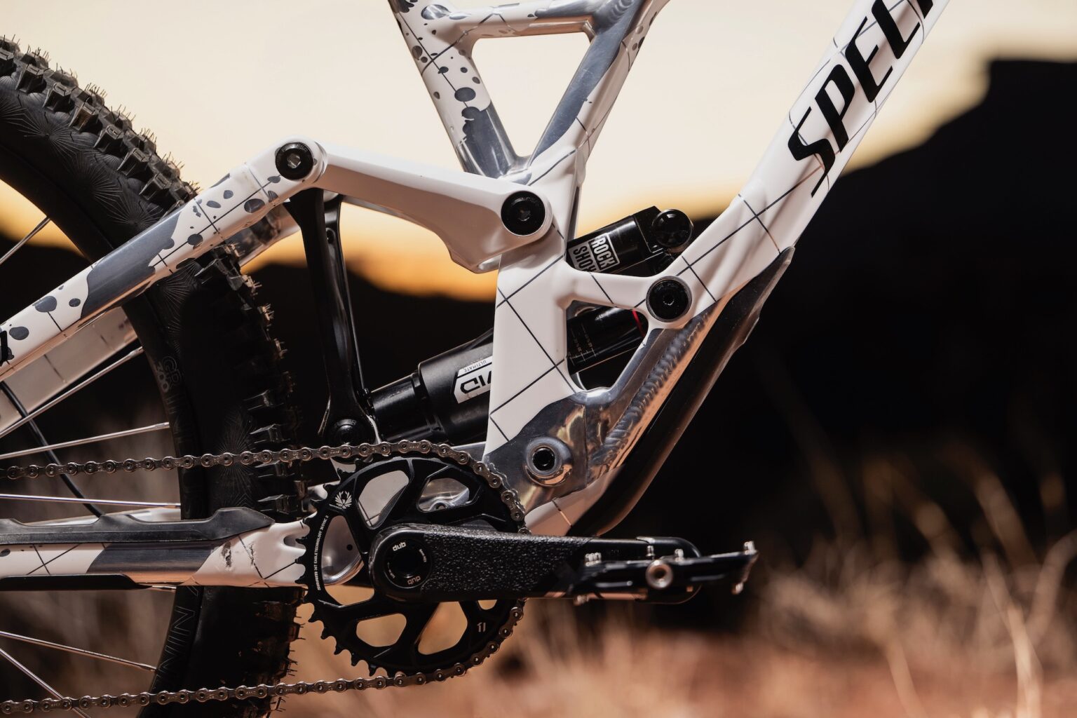 side profile of Szymon Godziek's custom Specialized Demo for Rampage