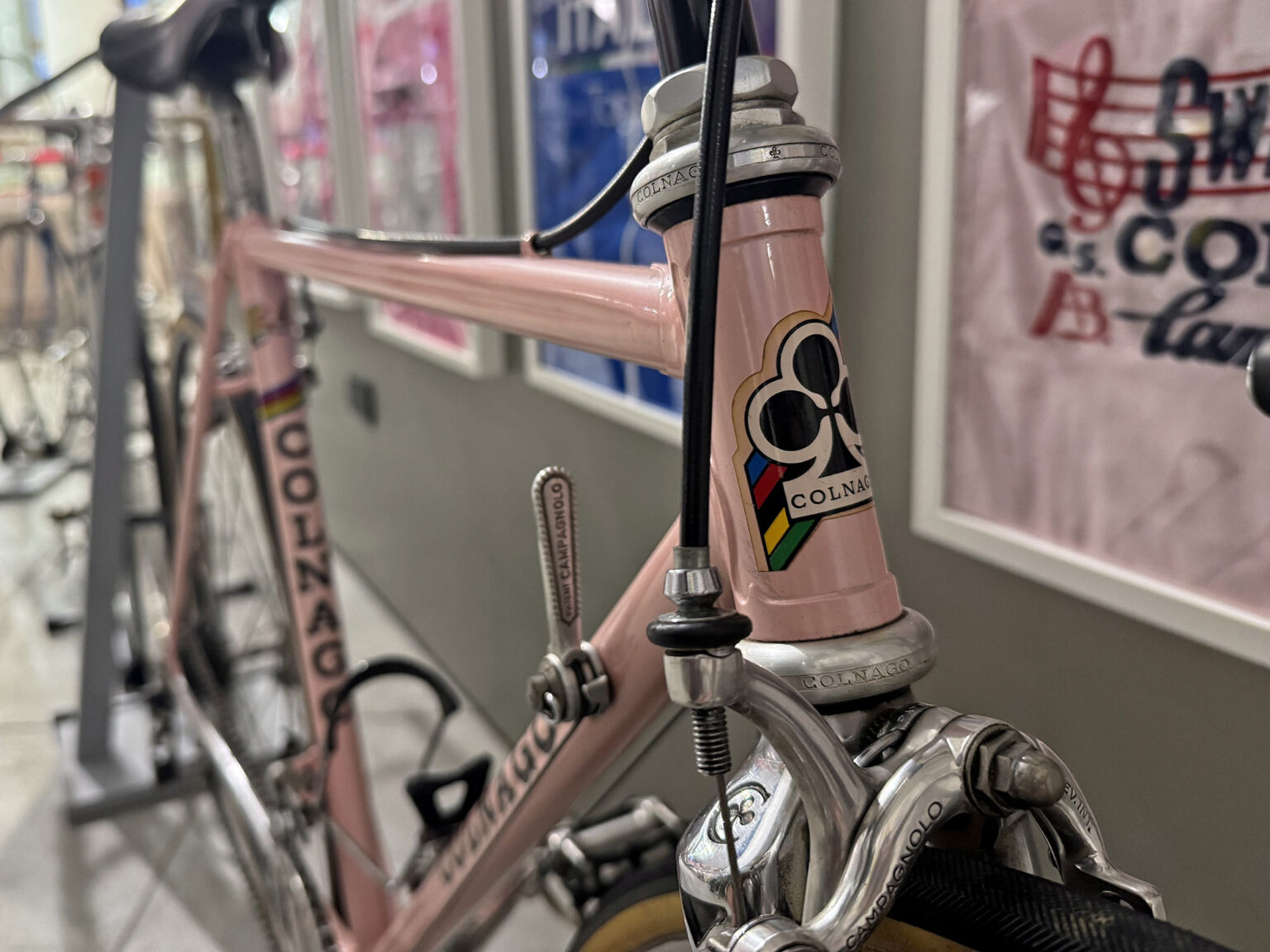 Ghisallo Museum: 1984 Sweet'n Low pink Colnago of Nadia Sambruni
