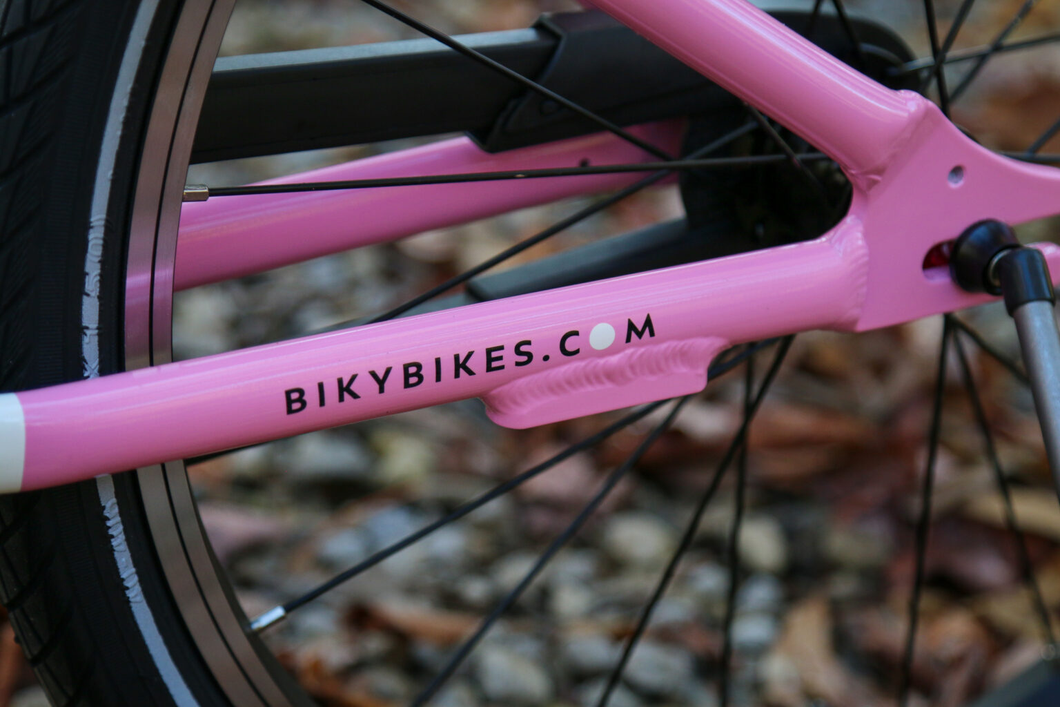 Biky Air 20 kickstand mount