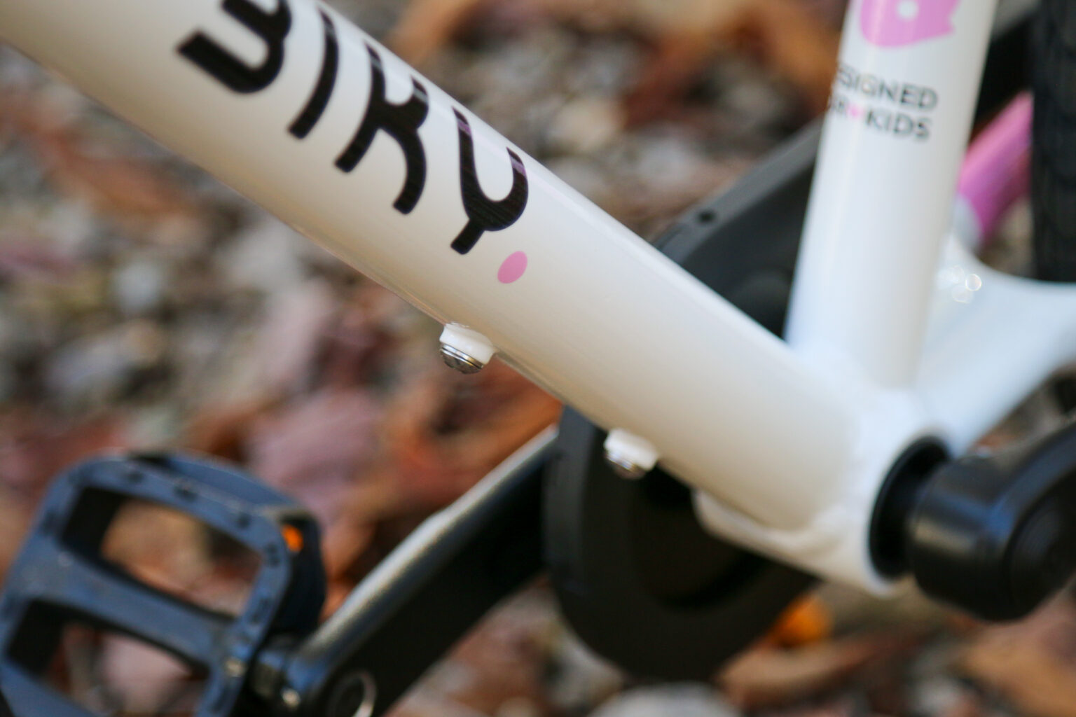 Biky Air 20 bottle mount