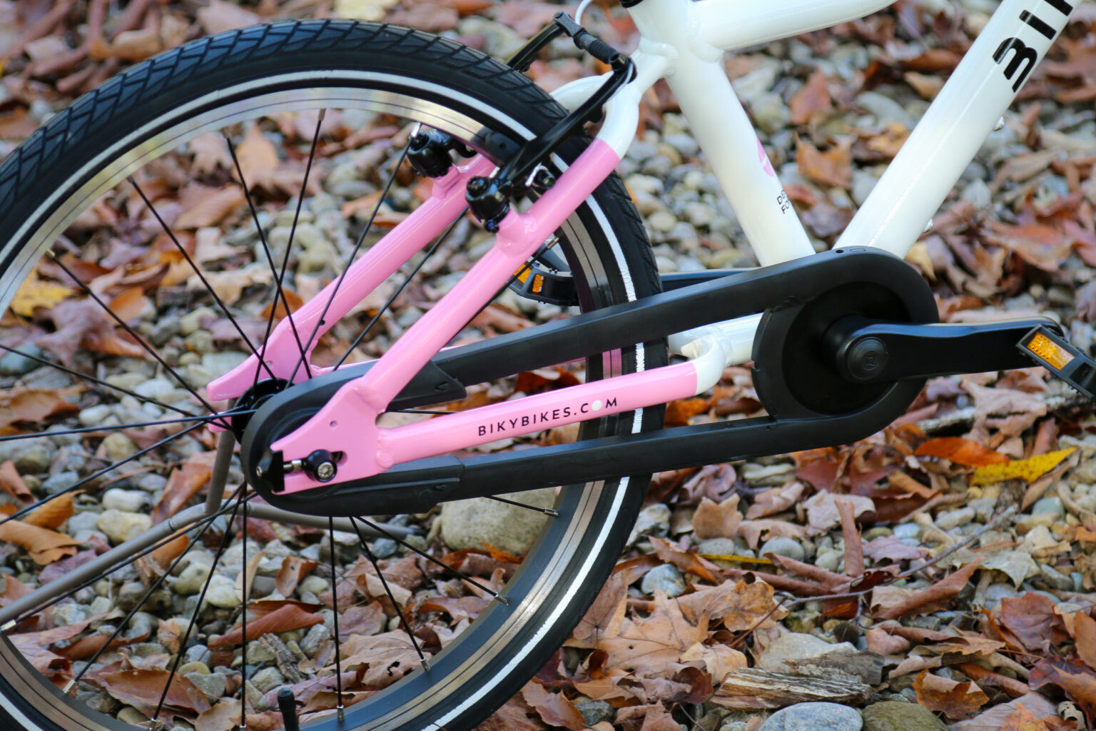 Biky Air 20 chainguard