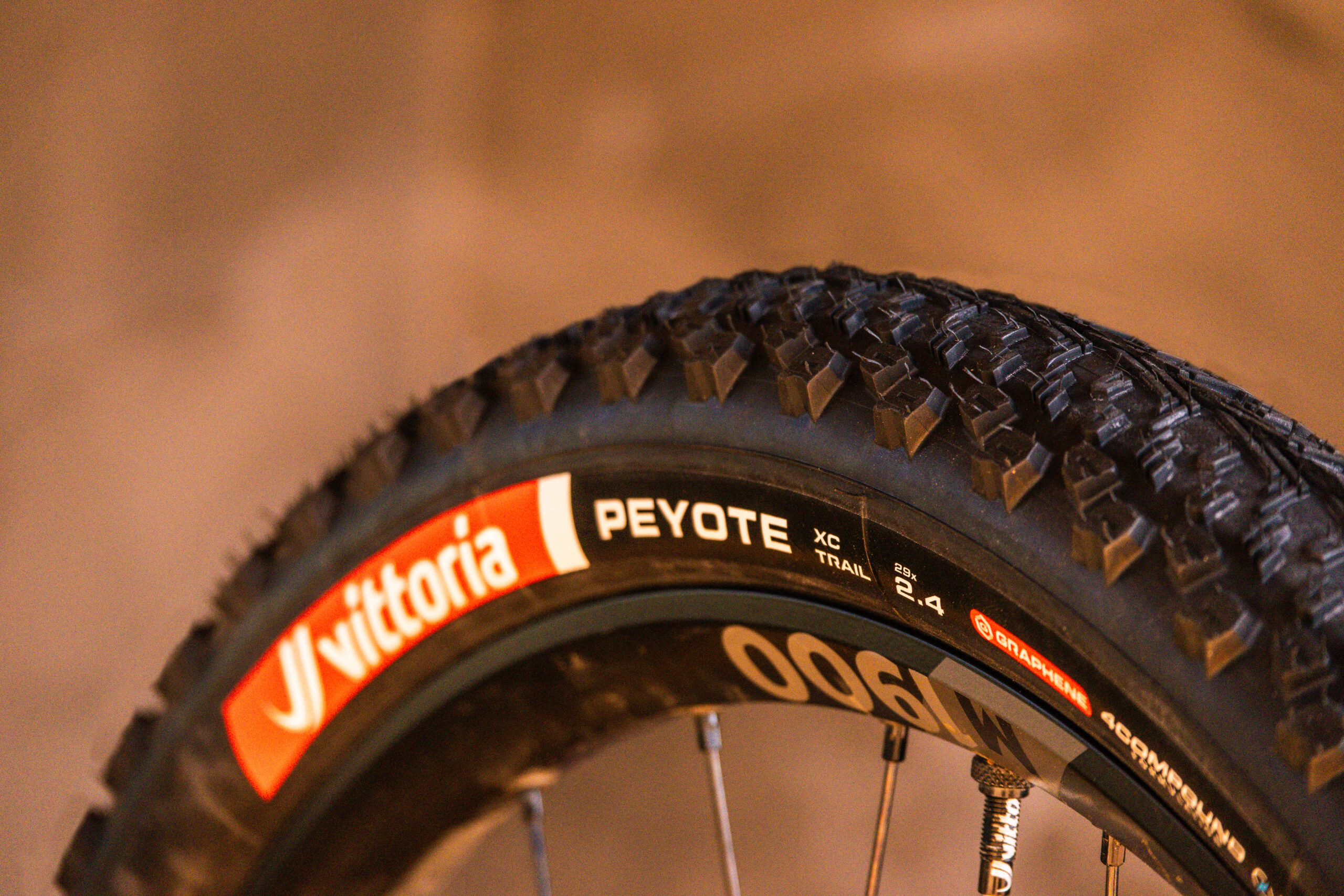 Vittoria’s All-New Trail Range — One Casing to Rule Every MTB Ride