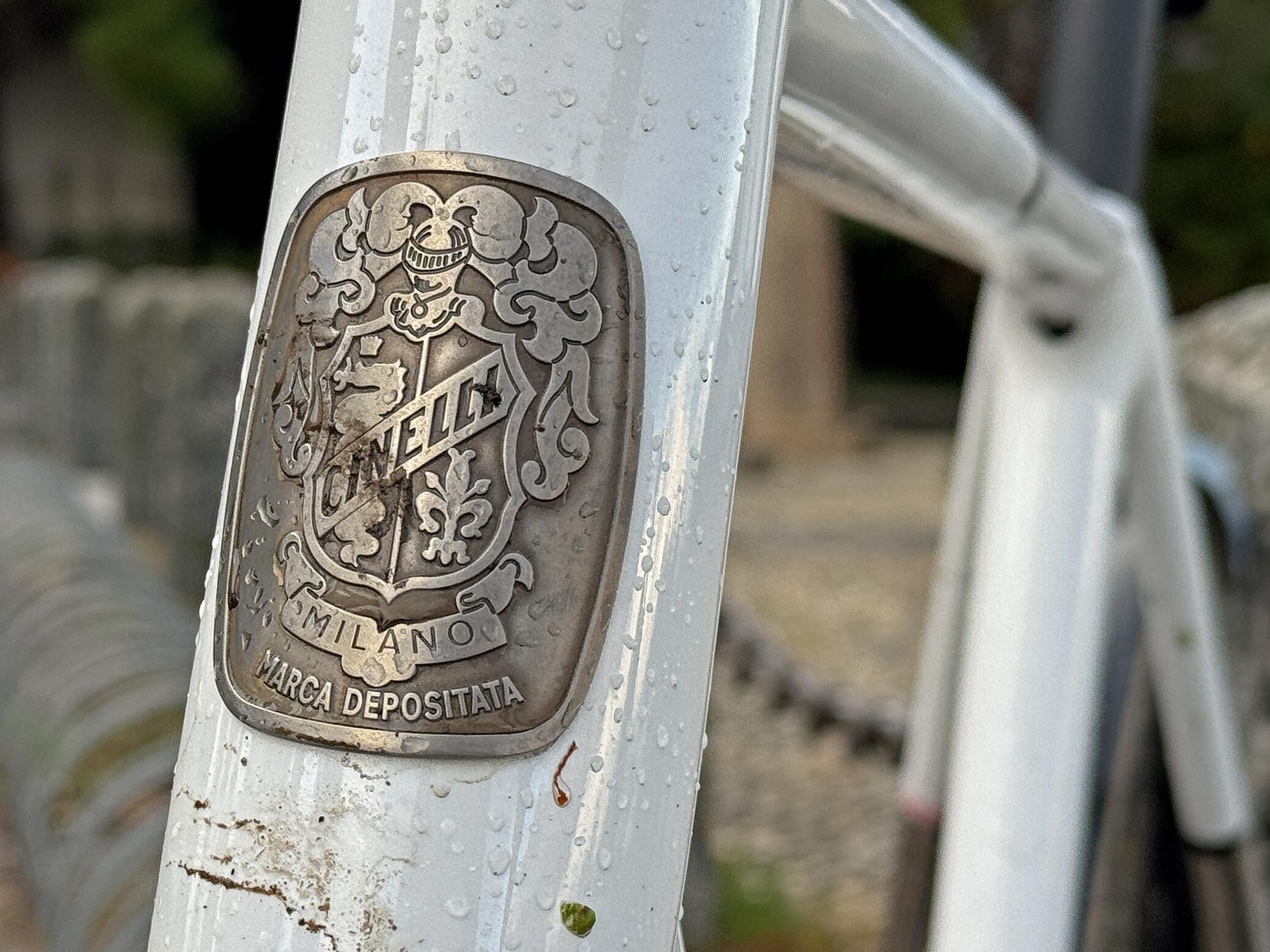 2026 Cinelli Speciale Corsa XCR modern steel road bike, headtube