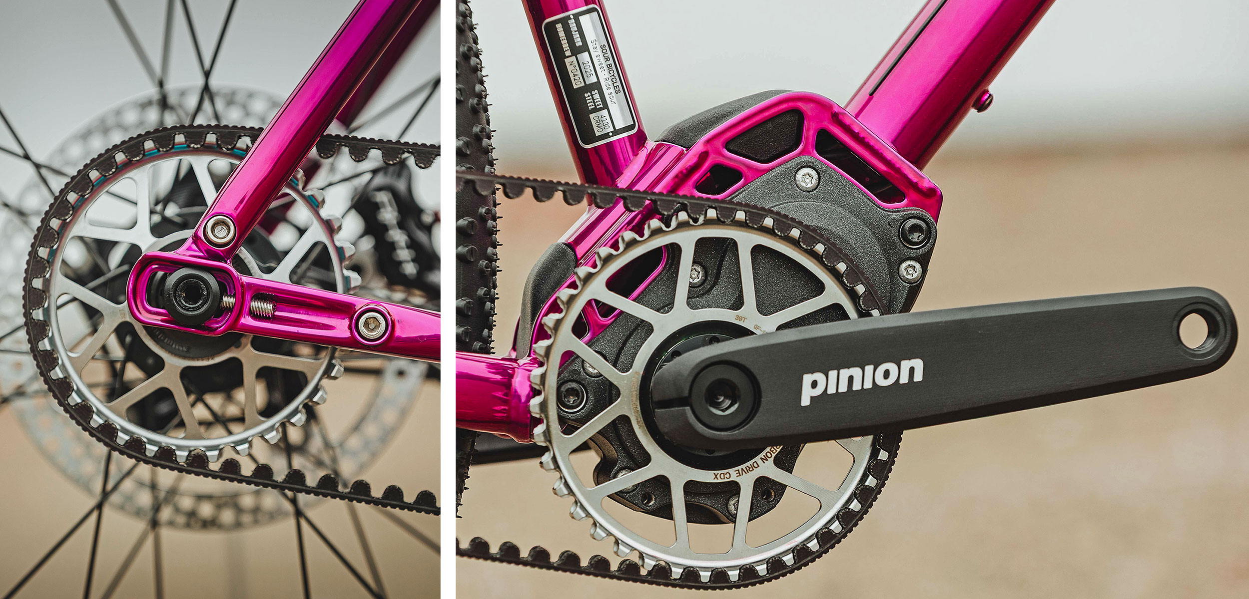 Sour Purple Pie steel Pinion gearbox adventure gravel bike, up close