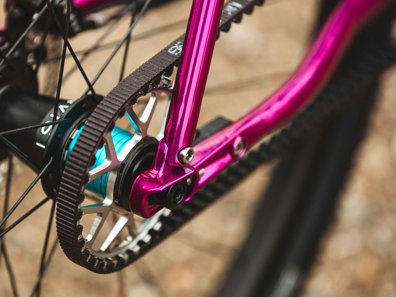 Sour Purple Pie steel Pinion gearbox adventure gravel bike, spit & sliding dropout detail