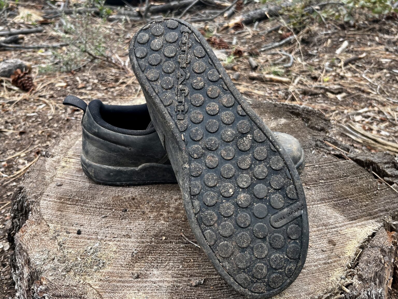 Five Ten Freerider Pro BOA