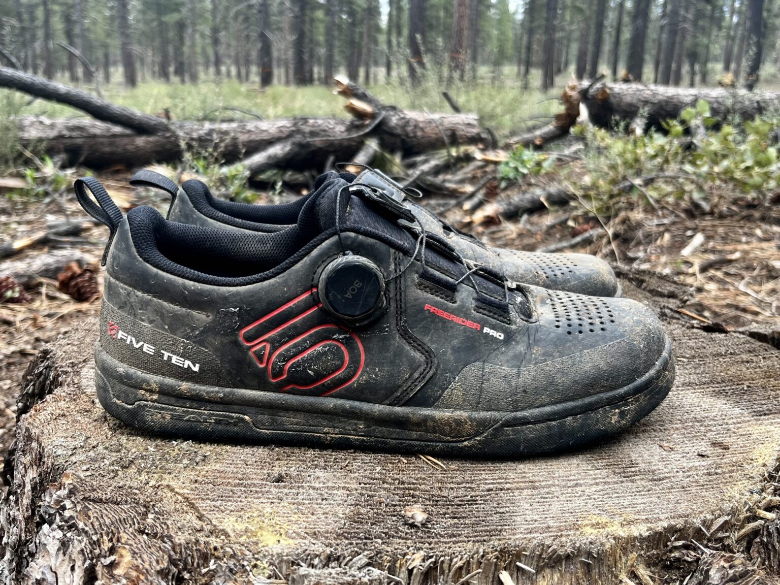 Five Ten Freerider Pro BOA