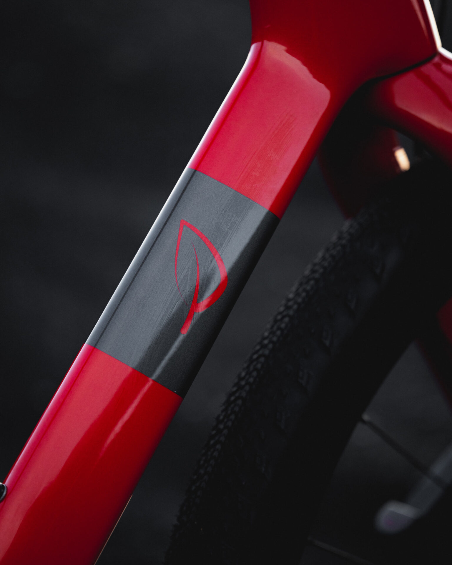 closeup of new kvika red color for lauf seigla gravel bike.