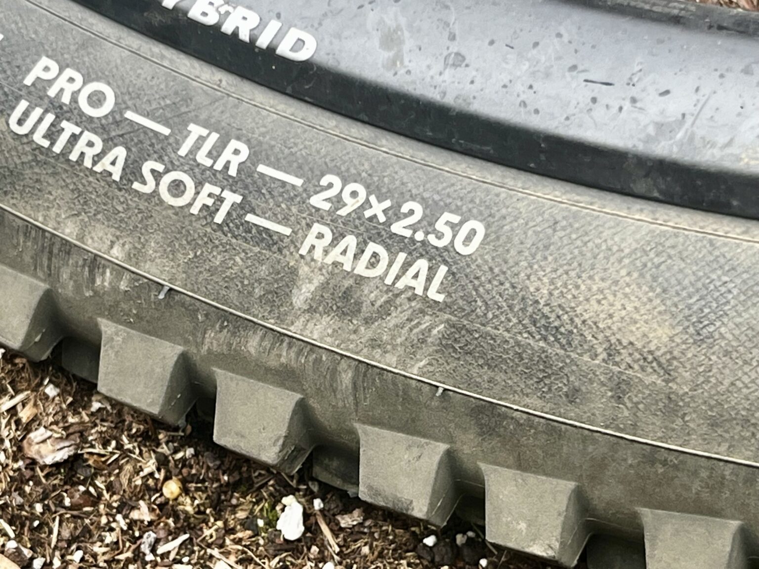 The radial branding on Schwalbe Albert radials